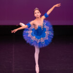 フロリナ王女のVa